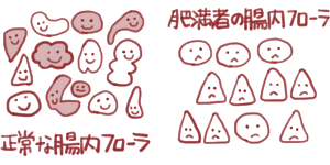 腸内細菌と肥満症の関連