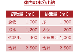 体内の水分出納